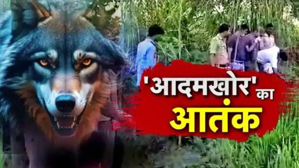 wolf attack in bahraich