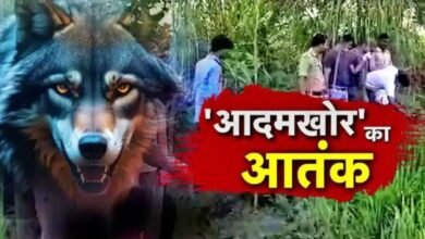 wolf attack in bahraich