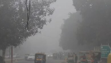 Cold increased in the state
