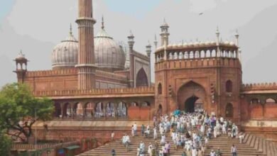 Survey Delhi Jama Masjid