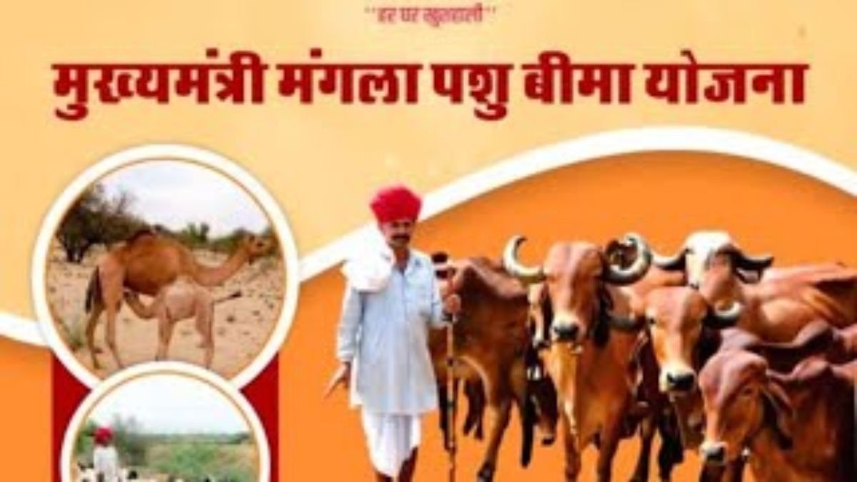 Rajasthan News