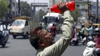 Rajasthan Weather