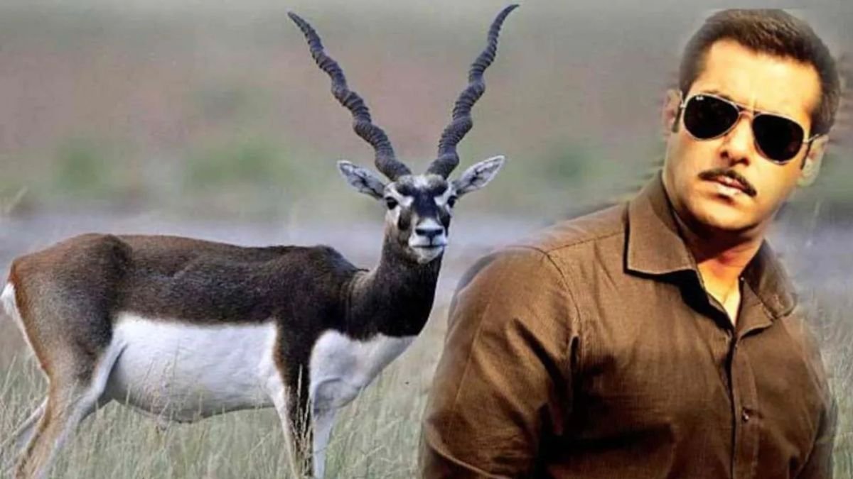 actor Salman Khan