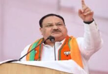 BJP National President